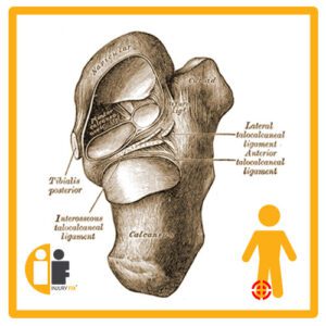 Ankle Injury Fix