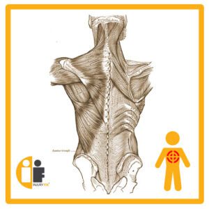 Back Injury Fix