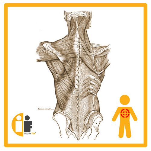 Back Injury Fix - Tel: 07775 505806