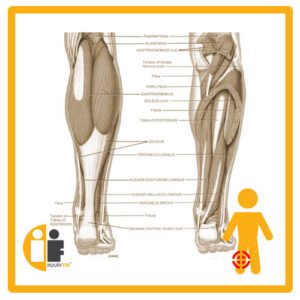 Calf Muscle Injury Fix