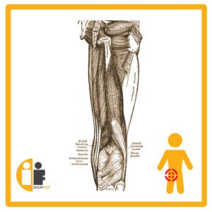 Ham String Injury Fix